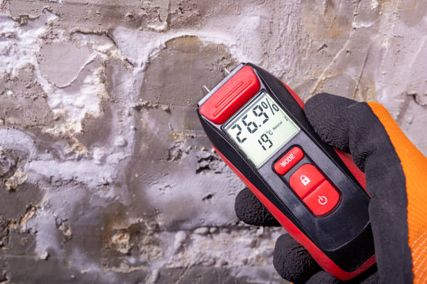 Best Post-Remediation Services in Gatesville, TX