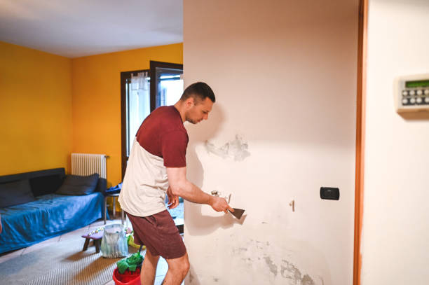 Best Attic Mold Remediation in Gatesville, TX